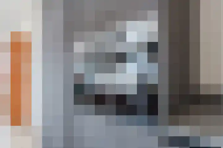 Suikerpeer 13 Boskoop thumbnail 18