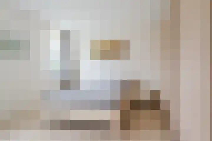 Suikerpeer 13 Boskoop thumbnail 19