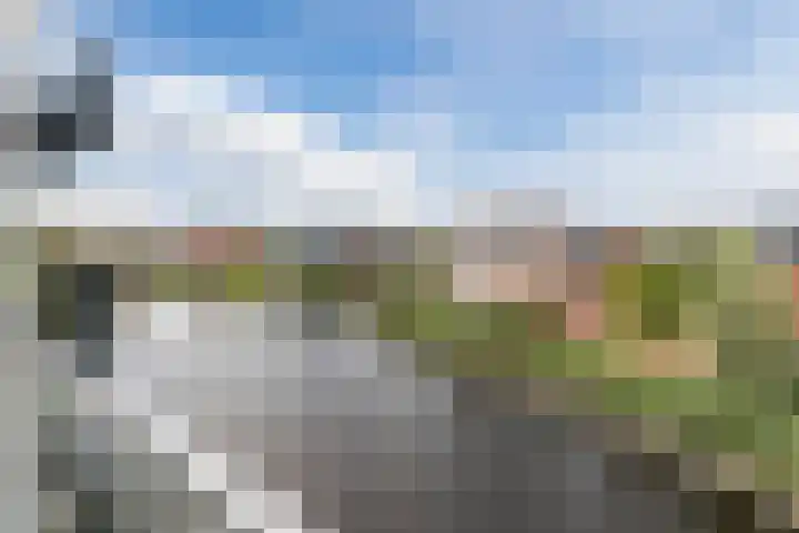 Suikerpeer 13 Boskoop thumbnail 30