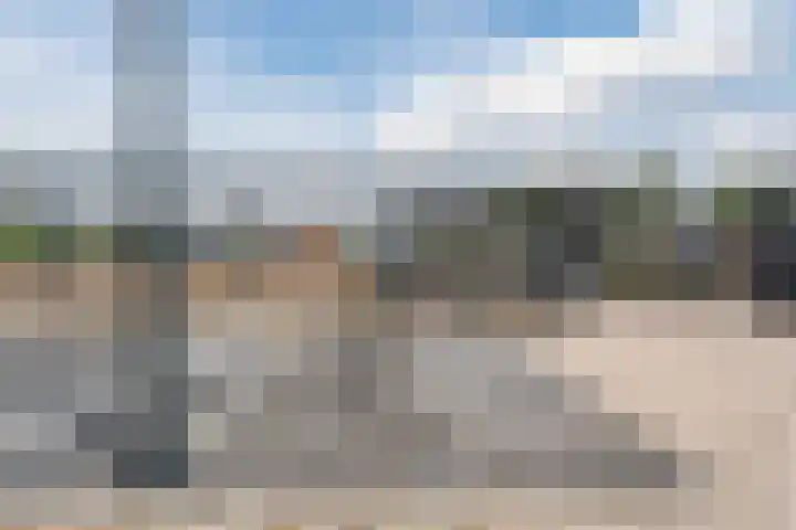 Suikerpeer 13 Boskoop thumbnail 32