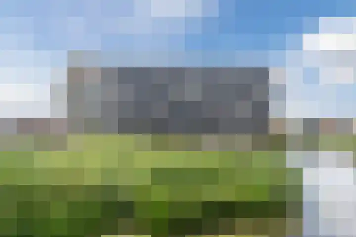 Suikerpeer 13 Boskoop thumbnail 33