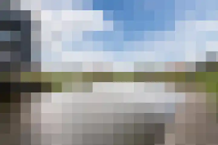 Suikerpeer 13 Boskoop thumbnail 35