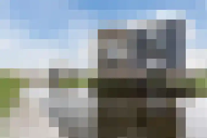 Suikerpeer 13 Boskoop thumbnail 36