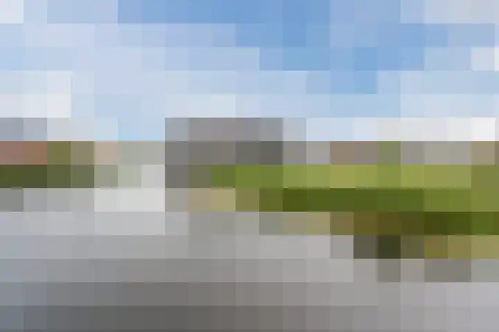 Suikerpeer 13 Boskoop thumbnail 39