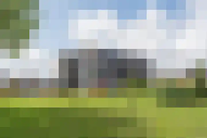Suikerpeer 13 Boskoop thumbnail 4