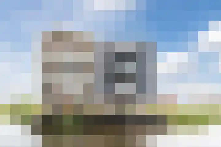 Suikerpeer 13 Boskoop thumbnail 43