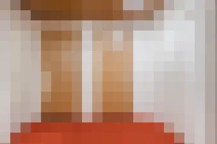 Suikerpeer 13 Boskoop thumbnail 6
