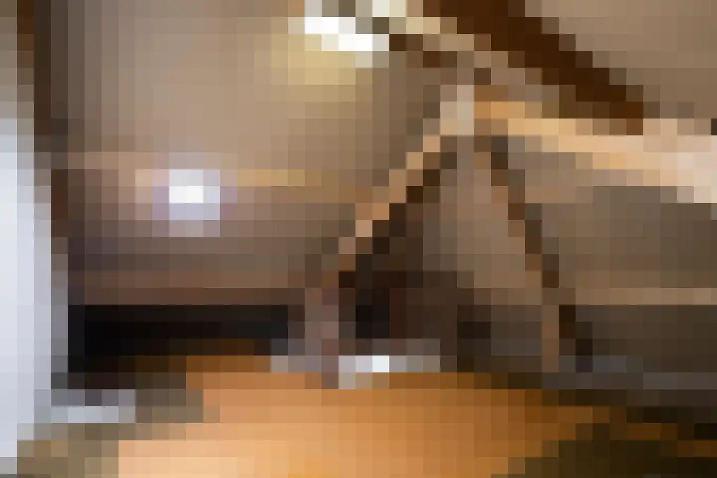 Suikerpeer 29 Duiven thumbnail 25