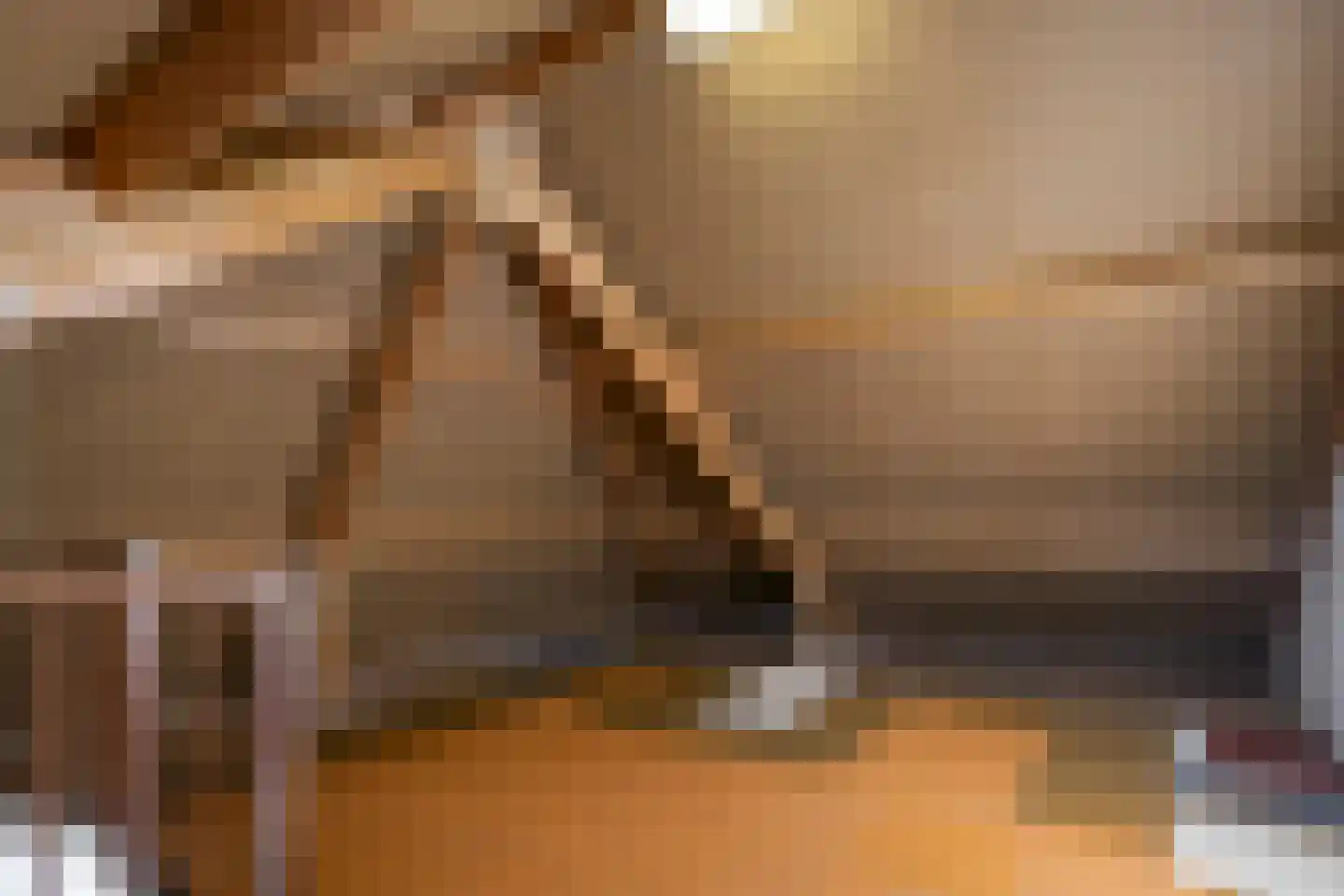 Suikerpeer 29 Duiven thumbnail 26