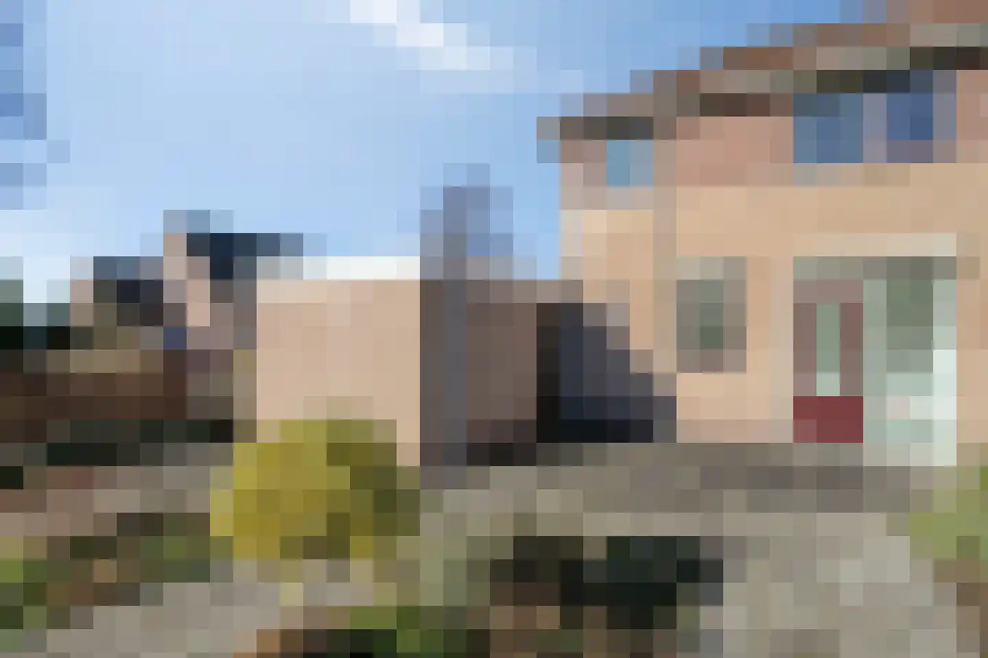 Suikerpeer 29 Duiven thumbnail 28