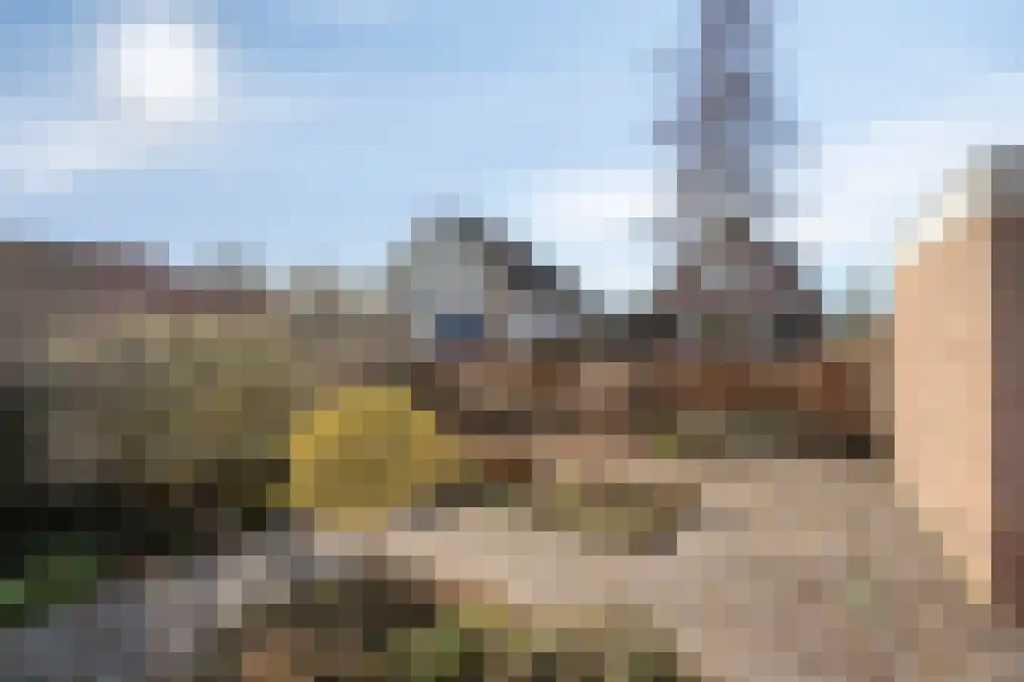 Suikerpeer 29 Duiven thumbnail 29