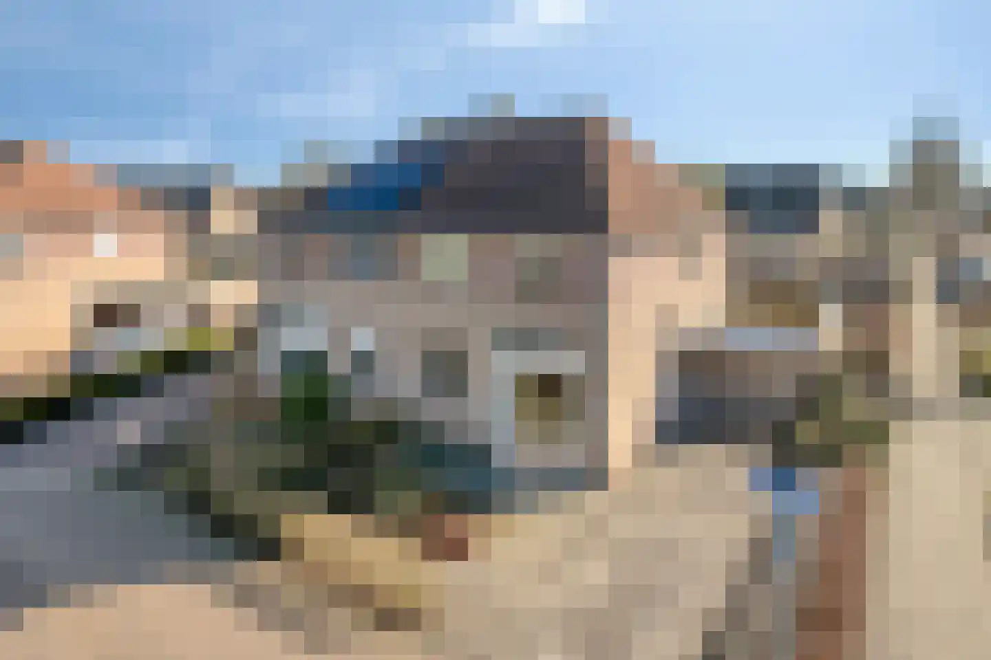 Suikerpeer 29 Duiven thumbnail 31