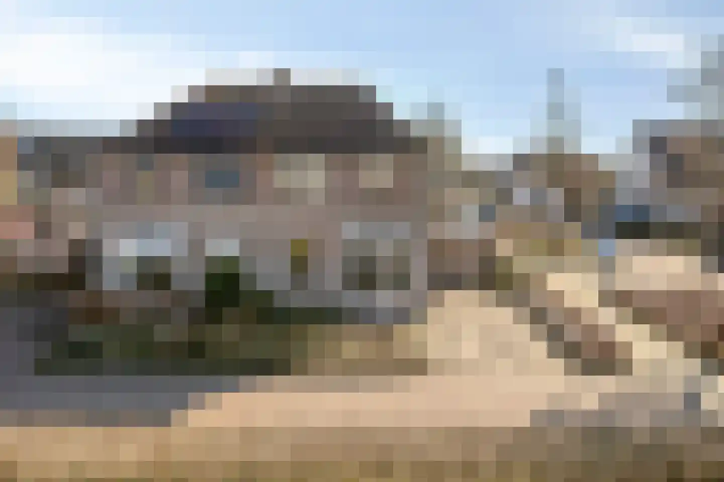 Suikerpeer 29 Duiven thumbnail 32