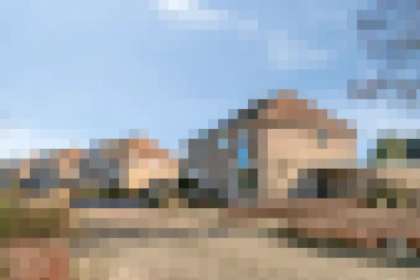 Suikerpeer 29 Duiven thumbnail 33