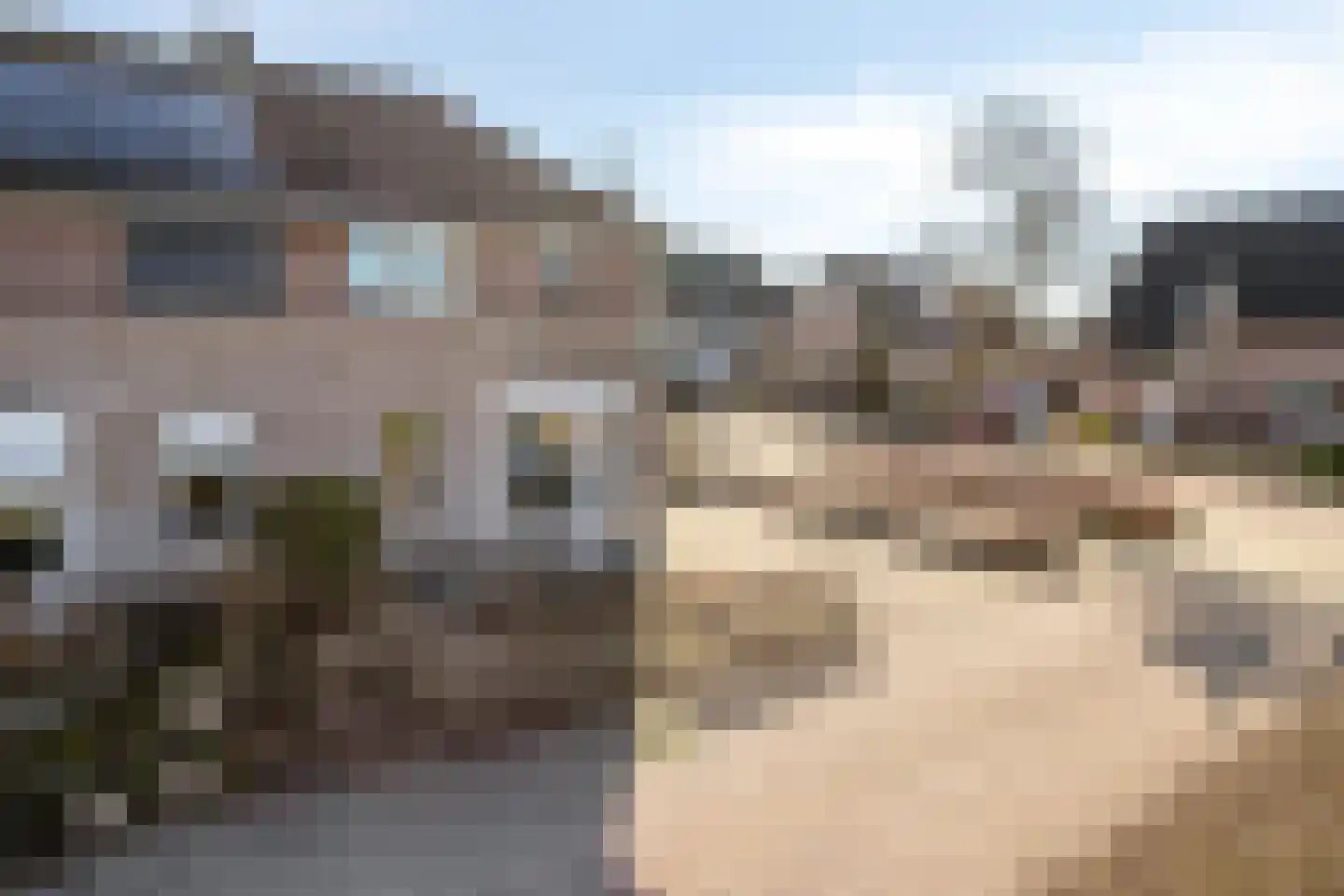 Suikerpeer 29 Duiven thumbnail 34