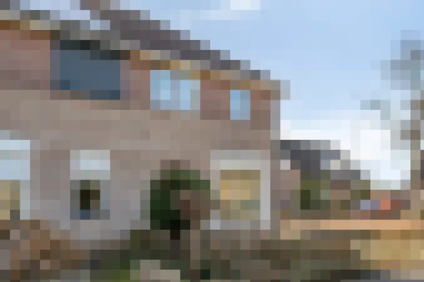 Suikerpeer 29 Duiven thumbnail 36