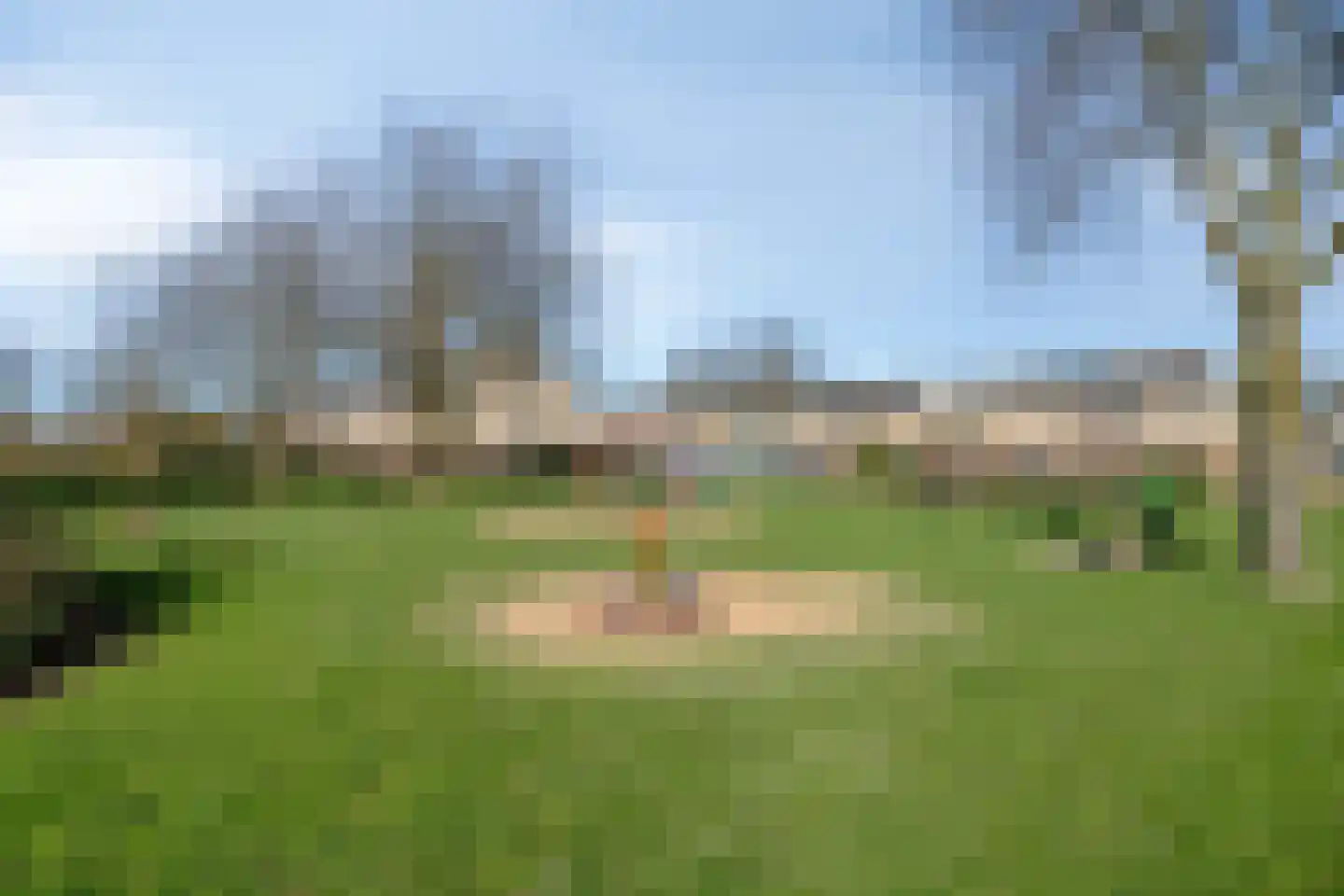 Suikerpeer 29 Duiven thumbnail 39