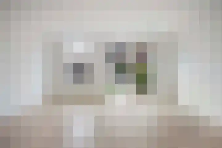 Suikerpeer 32 Boskoop thumbnail 10