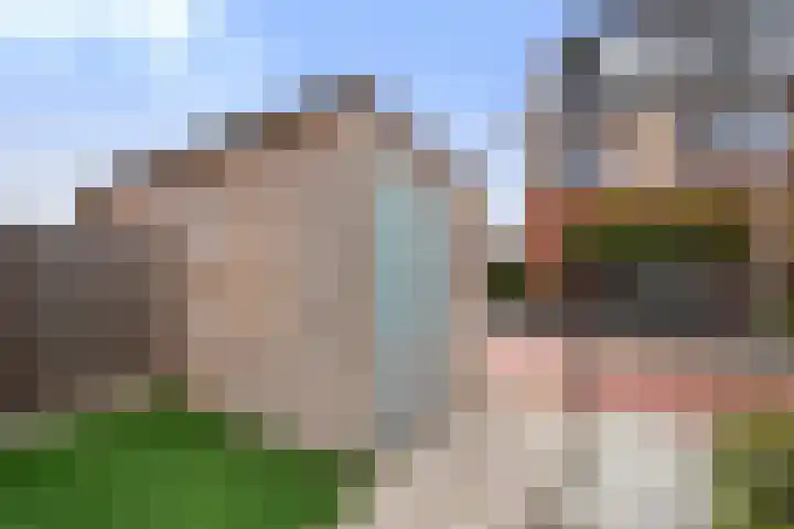 Suikerpeer 32 Boskoop thumbnail 14