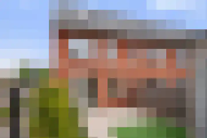Suikerpeer 32 Boskoop thumbnail 15