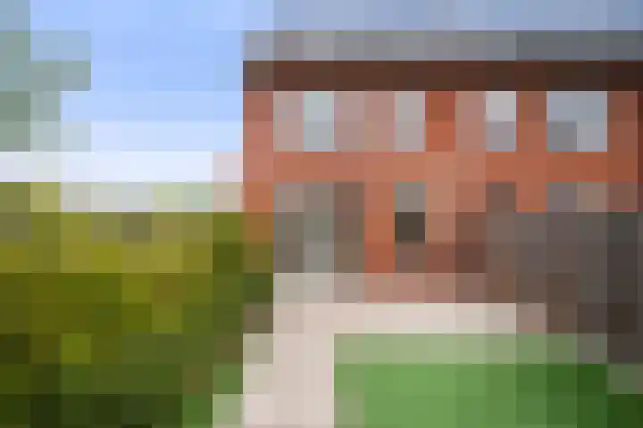 Suikerpeer 32 Boskoop thumbnail 16