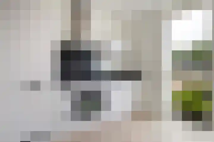 Suikerpeer 32 Boskoop thumbnail 19