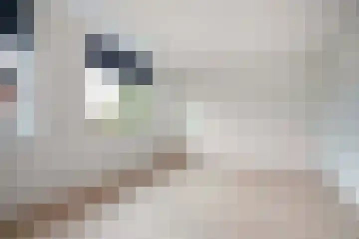 Suikerpeer 32 Boskoop thumbnail 22