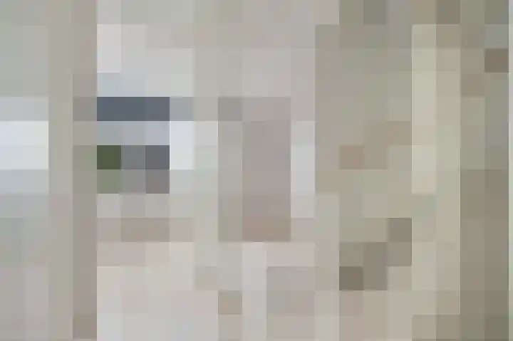 Suikerpeer 32 Boskoop thumbnail 23