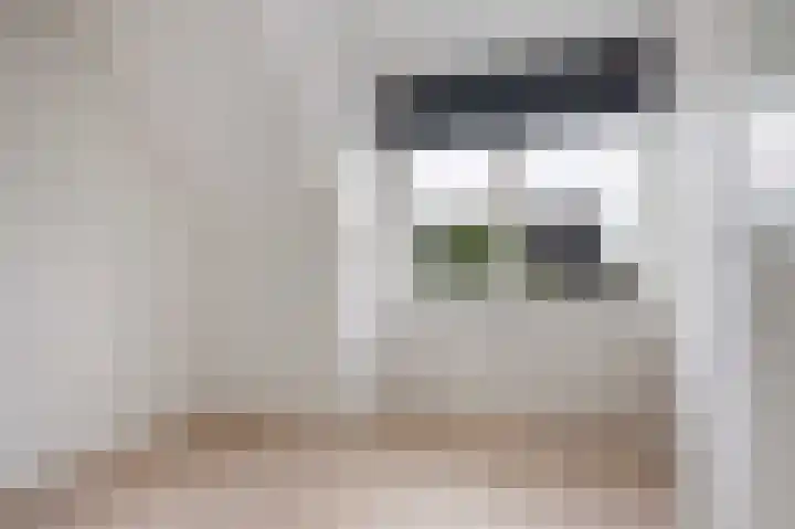Suikerpeer 32 Boskoop thumbnail 24