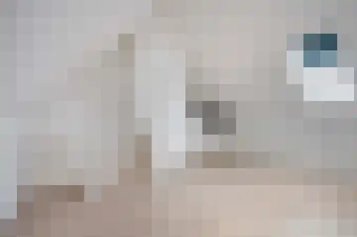 Suikerpeer 32 Boskoop thumbnail 28