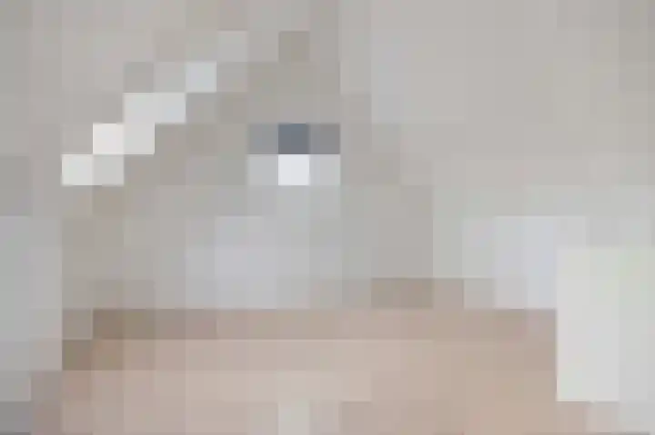 Suikerpeer 32 Boskoop thumbnail 29