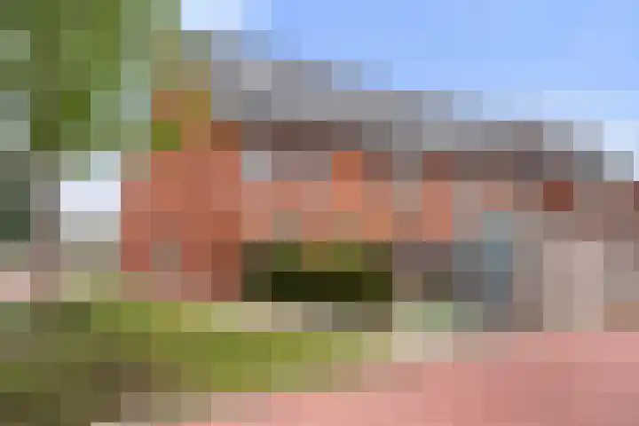 Suikerpeer 32 Boskoop thumbnail 34