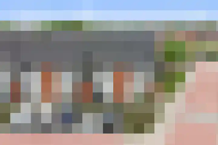Suikerpeer 32 Boskoop thumbnail 35