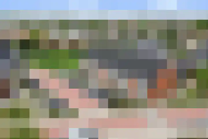 Suikerpeer 32 Boskoop thumbnail 36