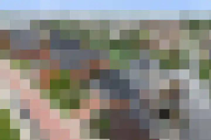 Suikerpeer 32 Boskoop thumbnail 38