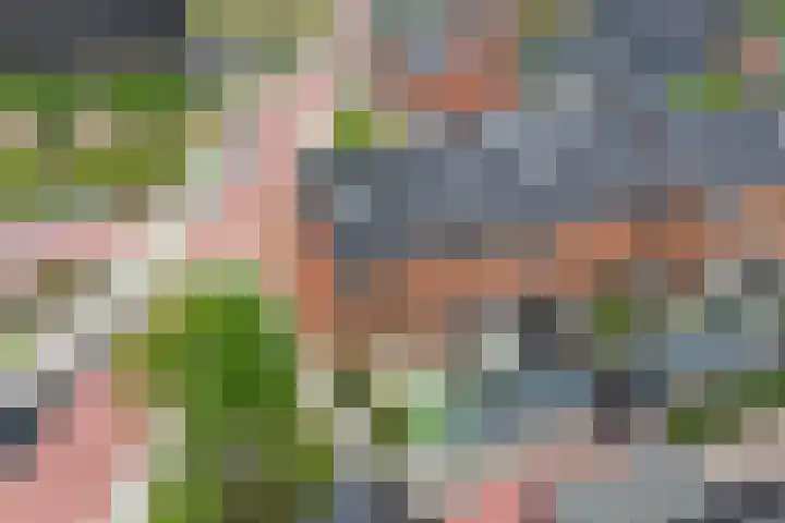 Suikerpeer 32 Boskoop thumbnail 39
