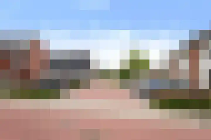 Suikerpeer 32 Boskoop thumbnail 40
