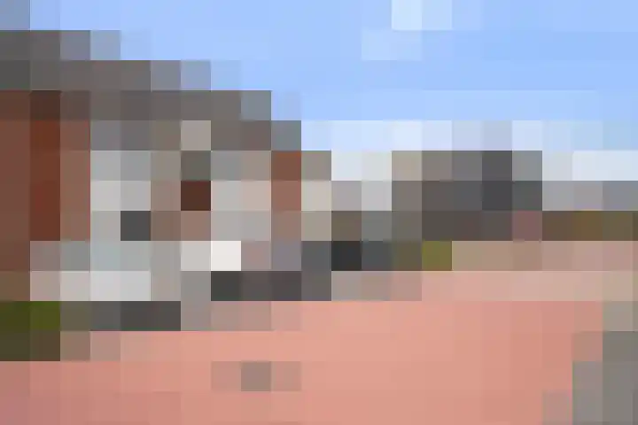 Suikerpeer 32 Boskoop thumbnail 41