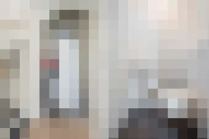 Suikerpeer 32 Boskoop thumbnail 7