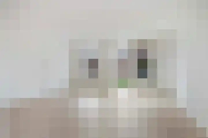 Suikerpeer 32 Boskoop thumbnail 9