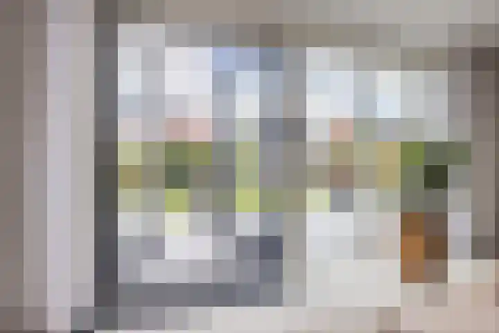 Suikerpeer 95 Boskoop thumbnail 10