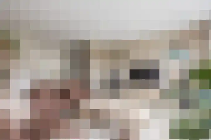Suikerpeer 95 Boskoop thumbnail 11