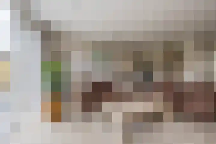 Suikerpeer 95 Boskoop thumbnail 12