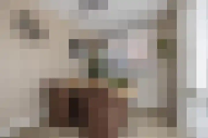 Suikerpeer 95 Boskoop thumbnail 15