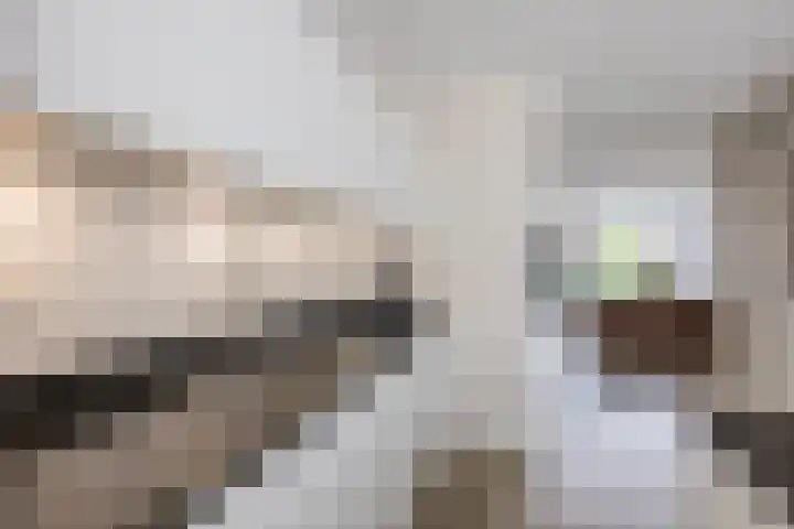 Suikerpeer 95 Boskoop thumbnail 19