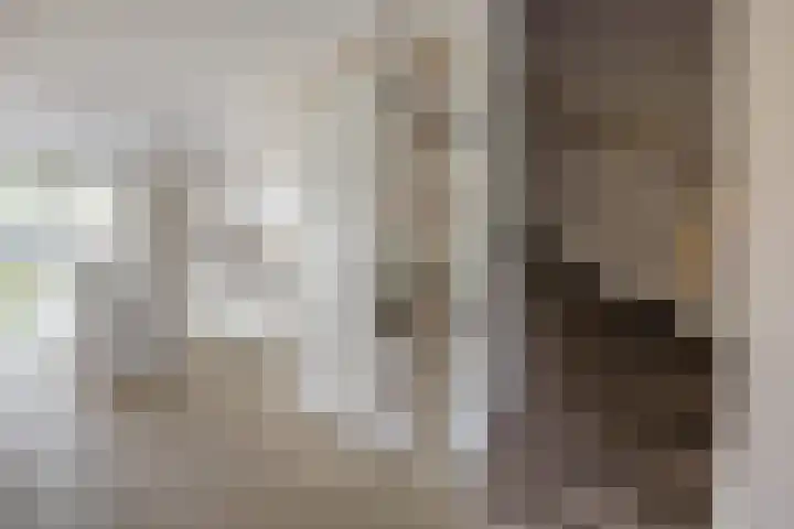 Suikerpeer 95 Boskoop thumbnail 20