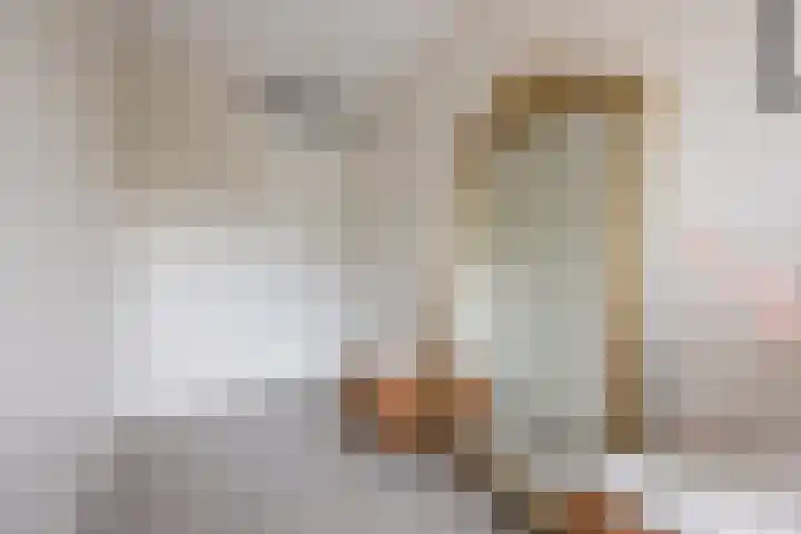 Suikerpeer 95 Boskoop thumbnail 23
