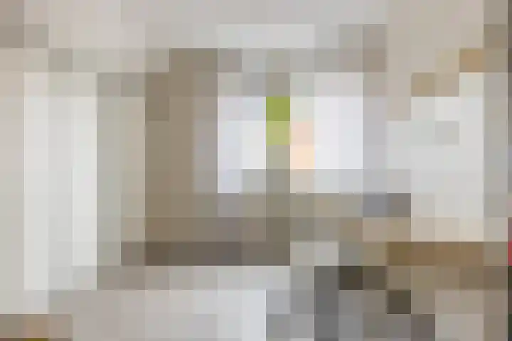Suikerpeer 95 Boskoop thumbnail 27