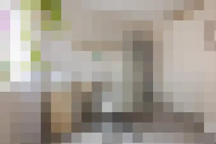 Suikerpeer 95 Boskoop thumbnail 28