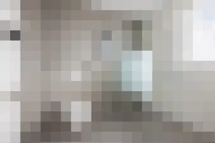 Suikerpeer 95 Boskoop thumbnail 29